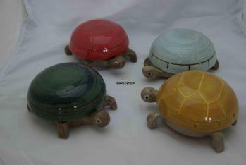 Petites tortues